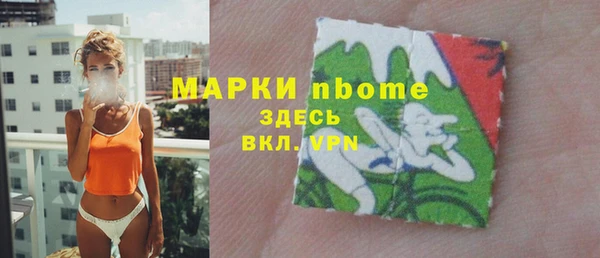 индика Бронницы