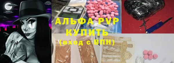 индика Бронницы